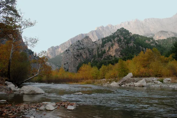 Büyük ve küçük kayalarla çevrili dağ deresi, sarı turuncu yapraklar ve yüksek dağlar manzarası.