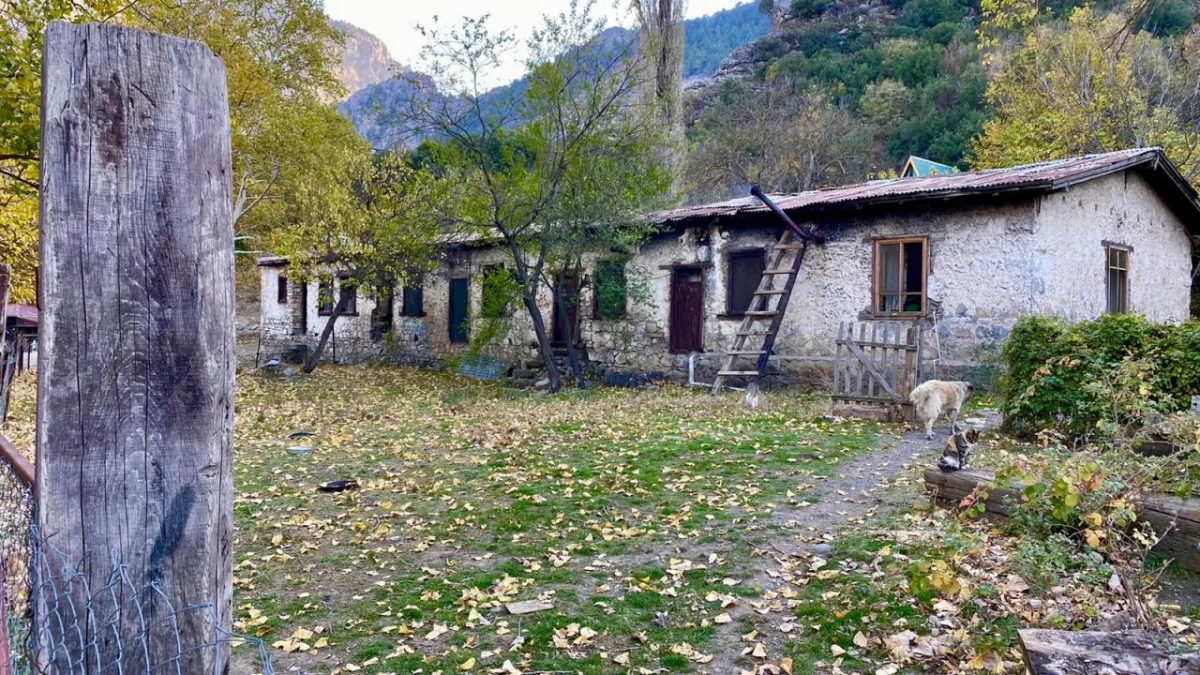 Taş evin önünde dökülmüş yapraklarla kaplı bahçe ve dağ manzarası.