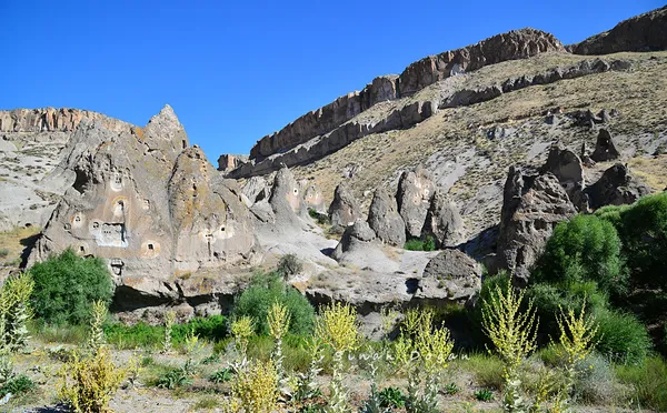 Şar Örenyeri'nde doğal taş oluşumları ve yeşil bitkiler.