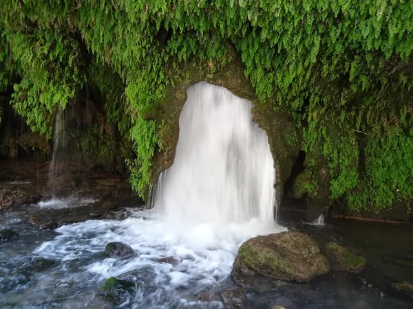 Aladağ Ağçakise bölgesindeki şelale ve yeşil doğa manzarası