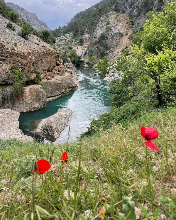 Aladağ Ağçakise Başpınar Bici ve Kosurga Yaylaları'nda doğa manzarası.