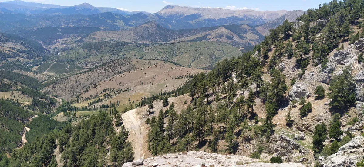 Yeşil ve kahverengi alanlar, dağlar ve çam ağaçları ile huzurlu bir doğa manzarası