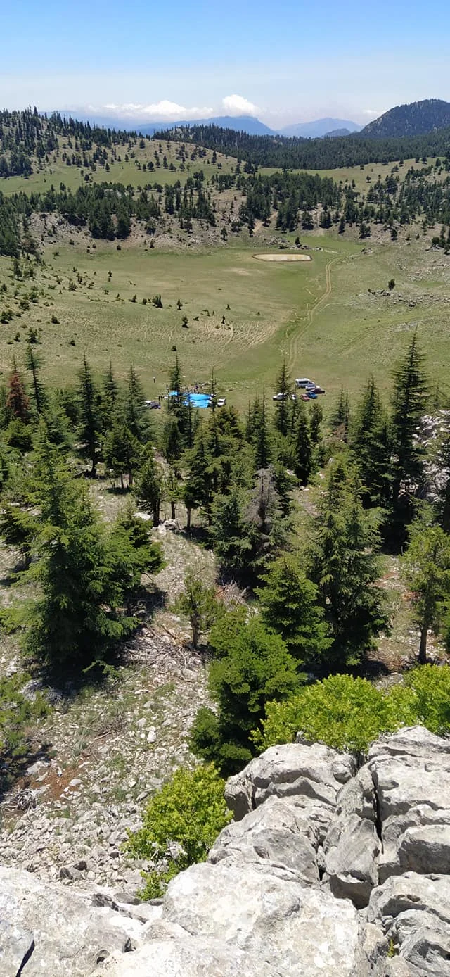 Yeşil ağaçlarla kaplı dağlık alan ve mavi gökyüzü manzarası