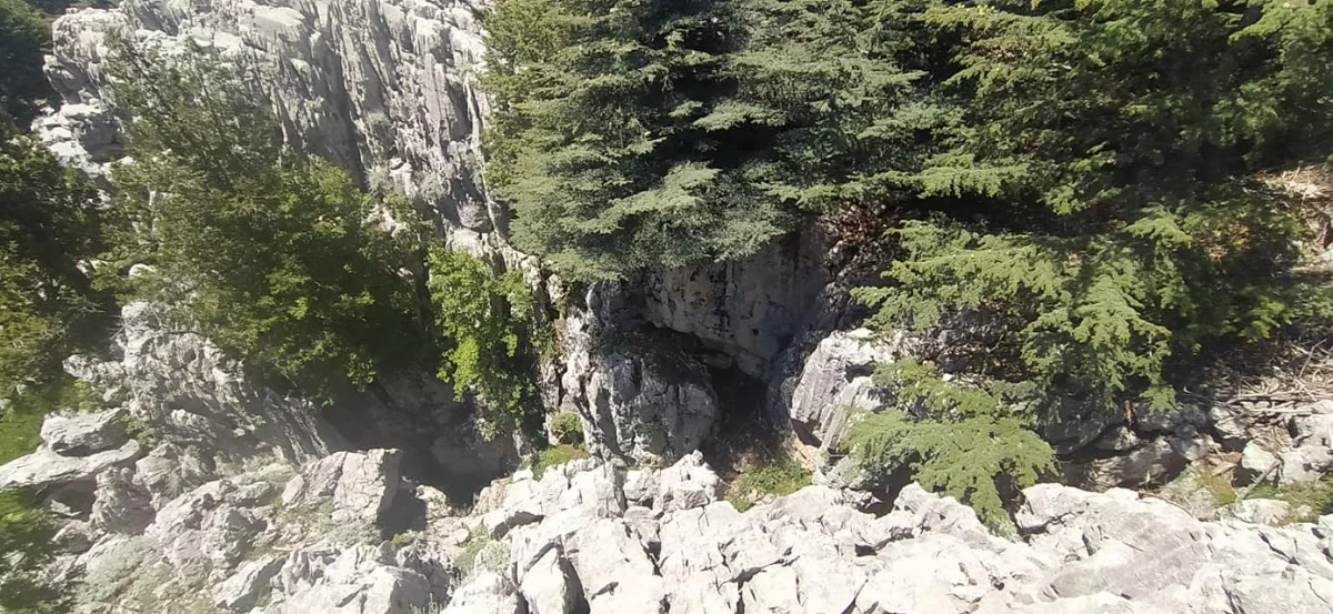 Sarp kayalıklar ve yemyeşil ağaçlarla dolu huzurlu doğal manzara