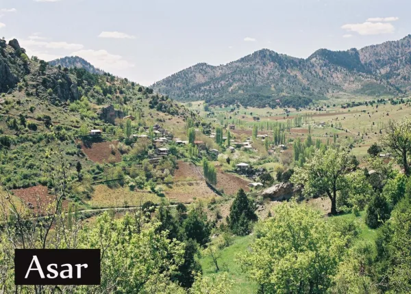 Adana Pozantı Aşar Yaylası: Yerel Lezzetler ve Yayla Kültürünün Buluşma Noktası