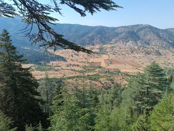 Adana Pozantı Aşar Yaylası: Yerel Lezzetler ve Yayla Kültürünün Buluşma Noktası