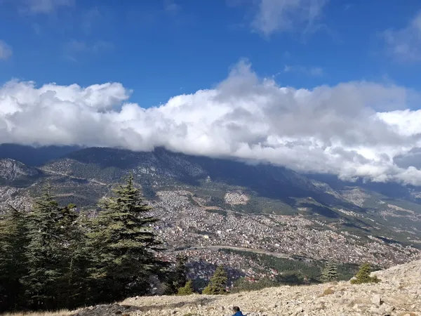 Adana Pozantı Aşar Yaylası: Yerel Lezzetler ve Yayla Kültürünün Buluşma Noktası