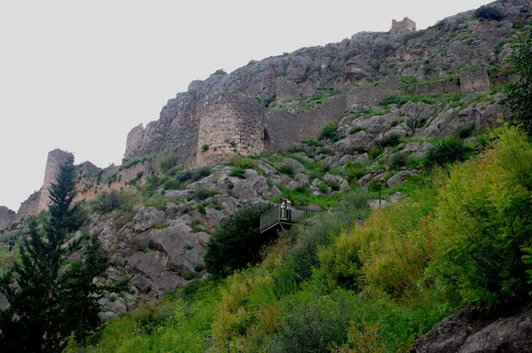 Dik bir kayalığın üzerinde yer alan tarihi Kozan Kalesi'nin taş surları ve yeşil bitki örtüsü.