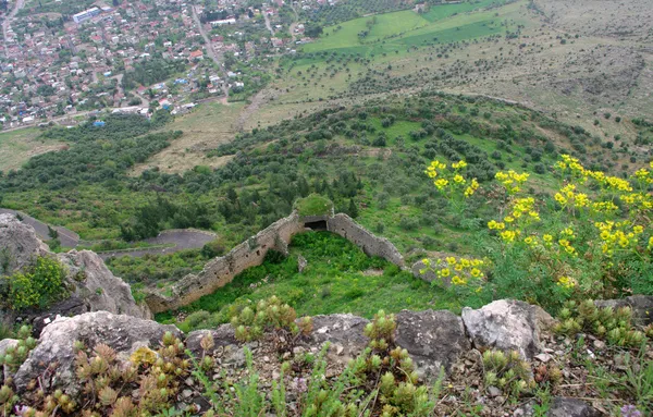 Yüksek bir noktadan Kozan Kalesi'nin yeşil bitkilerle kaplı kalıntıları ve çevresindeki tarım arazileri.