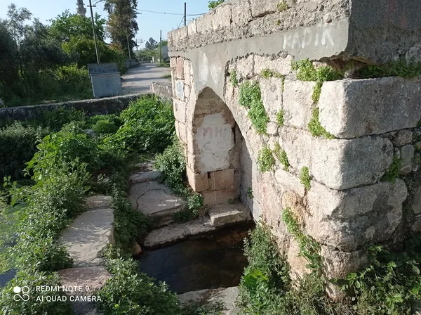Taş kemerli yapı, yeşil bitki örtüsü ve su akıntısı ile çevrili.