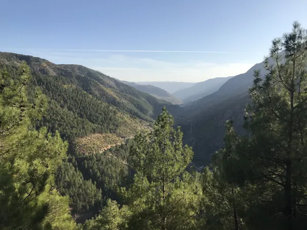 Yemyeşil ağaçlarla kaplı dağlık alan, arka planda sarp dağlar ve mavi gökyüzü.