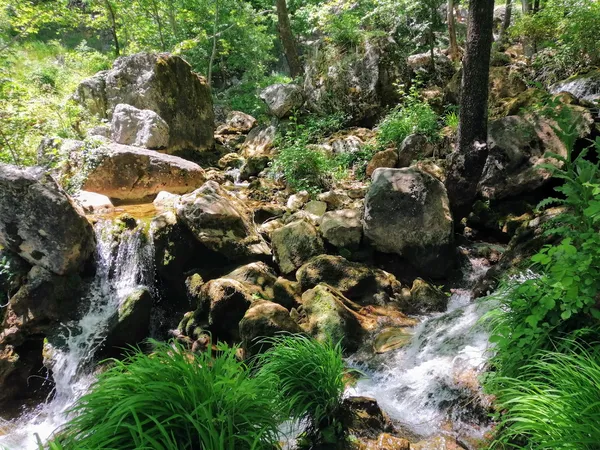 Yeşil ağaçlar arasında akan dere ve küçük şelale, çevresinde kayalarla dolu doğal bir ortam.