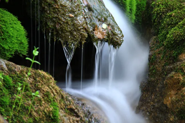 Şelale gibi akan suyun etrafında yeşil yosun kaplı kayalar ve huzurlu bir doğa manzarası.