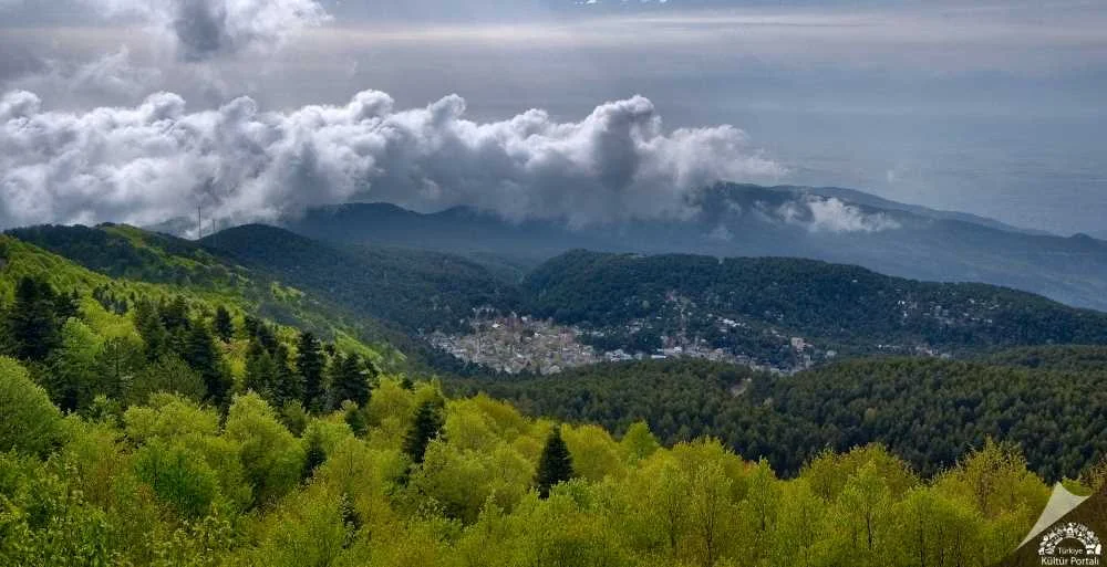 Osmaniye'nin İncisi Zorkun Yaylası: Yerel Lezzetler ve Yayla Kültürü Rehberi