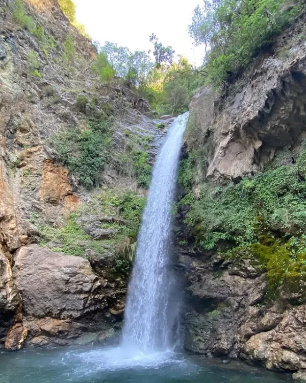 Dik kaynaktan düşen şelale, yeşil bitki örtüsü ve gölet ile çevrili.