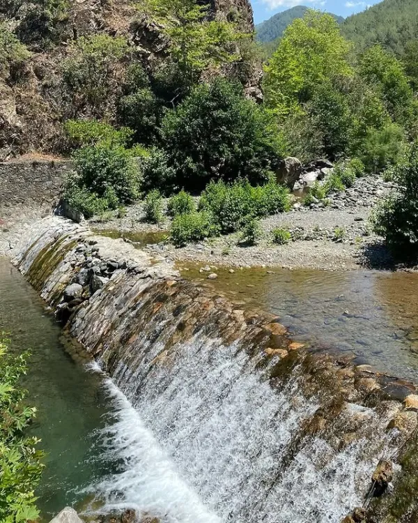 Yeşil bitkilerle çevrili, taşlarla örülü setten akan suyla huzur veren bir şelale.