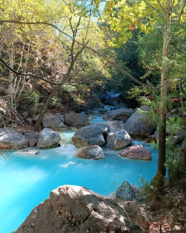 Mavi suyun kayaların arasından aktığı, sarı ve yeşil yapraklarla çevrili huzurlu doğal manzara.