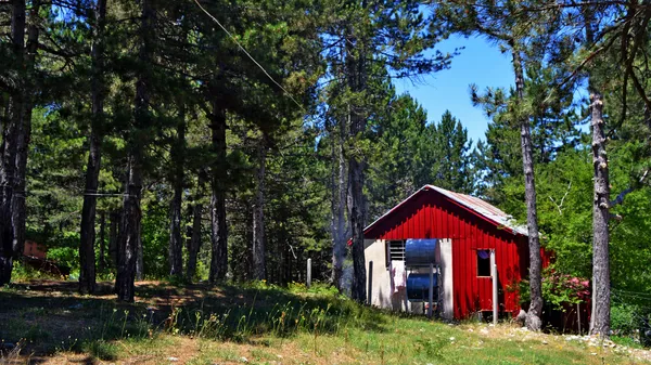 Sık ağaçlarla çevrili alanda, kırmızı dış yüzeyli küçük bir yapı ve metal su tankları.