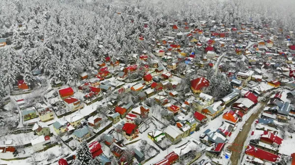 Karla kaplı ağaçlar arasında yer alan renkli çatılı evler.