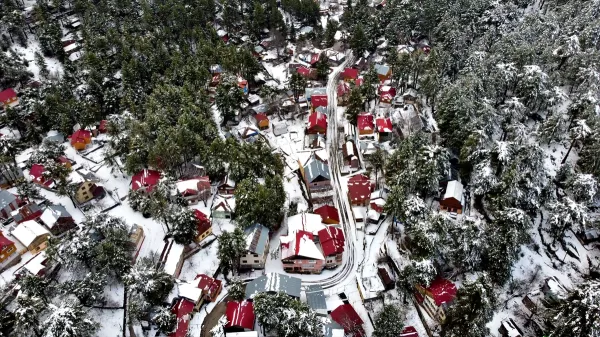 Karla kaplı Zorkun Yaylası'nda çeşitli renklerde çatılar ve yeşil ağaçlar görünmektedir.