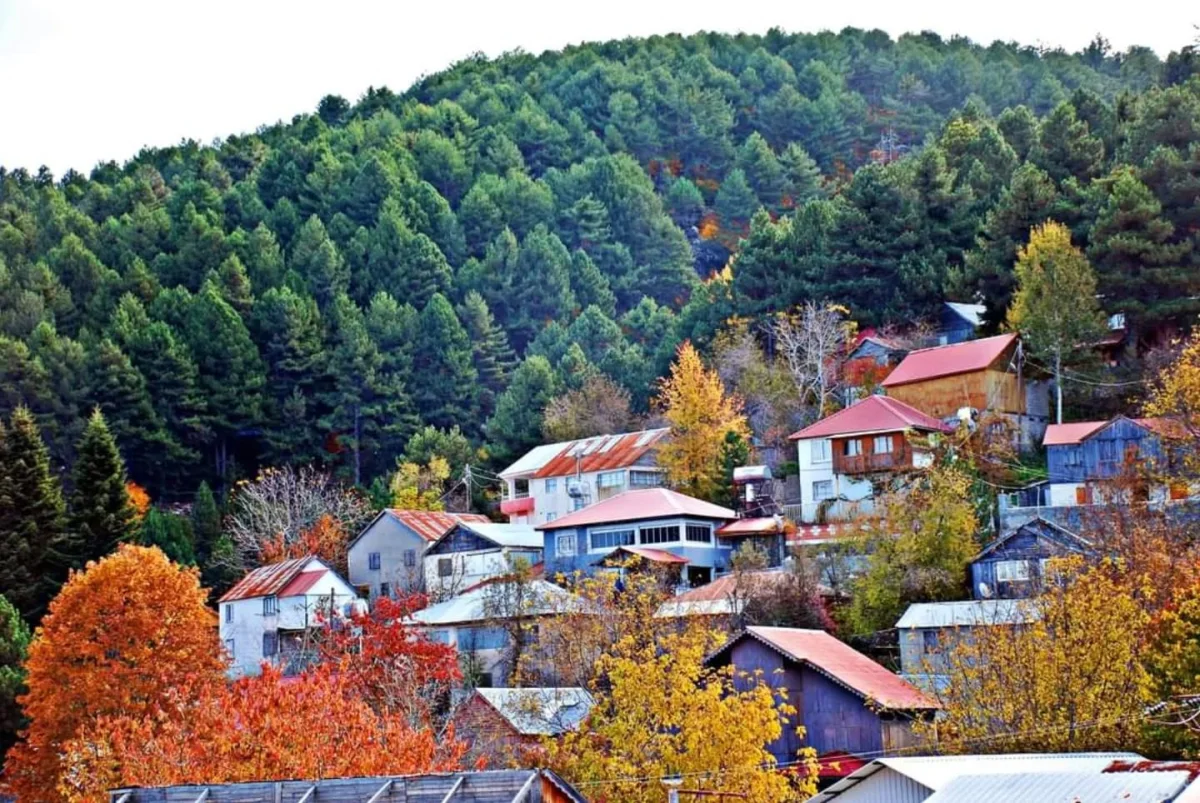 Osmaniye Zorkun Yaylası Rehberi: Amanos Dağları'nın Gizli Cenneti - Kamp ve Doğa Deneyimi