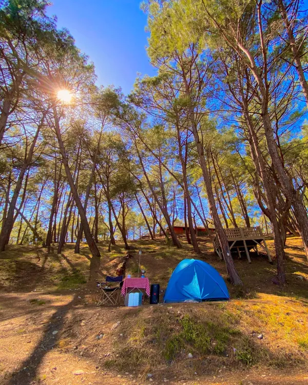 Yüksek ağaçlar arasında mavi çadır ve masa örtüsüyle kaplı masa, doğal kamp alanı