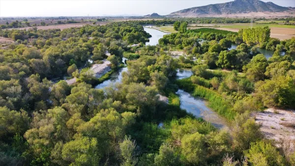 Osmaniye Kırmıtlı Kuş Cenneti: Yerel Rehberin Gözünden Doğa