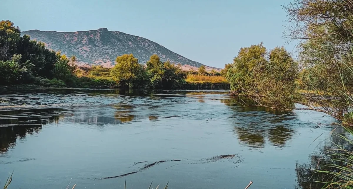 Osmaniye Kırmıtlı Kuş Cenneti: Yerel Rehberin Gözünden Doğa