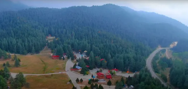 Yoğun ağaçlarla kaplı dağlık alanda küçük kırmızı çatılı binalar ve kıvrımlı yol görünmektedir.