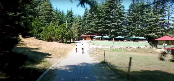 Kahramanmaraş Başkonuş Yaylası: Yerel Lezzetler ve Kültür Rehberi