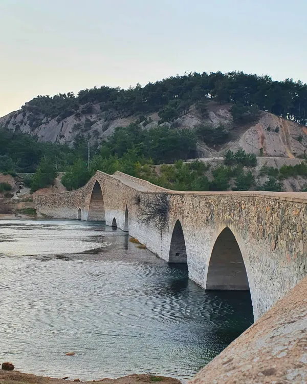 Taş köprü, suyun üzerinde uzanıyor ve yemyeşil ağaçlarla çevrili bir tepe arka planda yer alıyor.