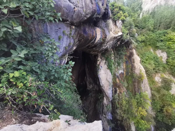 Yeşil bitkilerle çevrili kayalık bir alan ve mağara açıklığı