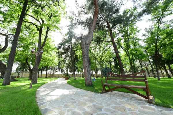 Yemyeşil ağaçlarla çevrili park alanında yürüyüş yolu ve ahşap bank görünüyor.