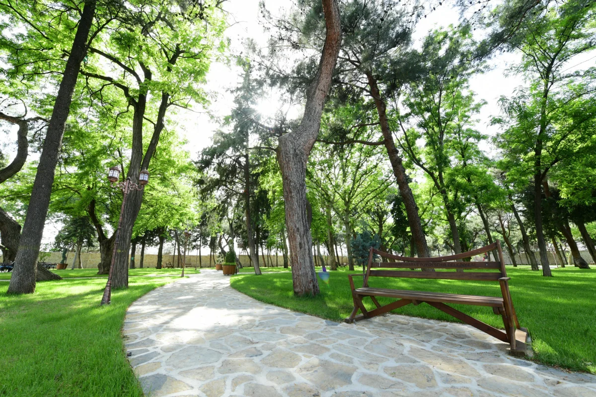 Kahramanmaraş Kalesi'nde Huzurlu Bir Gün - Yemyeşil ağaçlarla çevrili park alanında yürüyüş yolu ve ahşap bank Yemyeşil ağaçlarla çevrili park alanında yürüyüş yolu ve ahşap bank görünüyor.