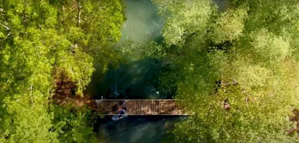 Yoğun yeşil ağaçlar arasında ahşap köprü ve berrak su yolu