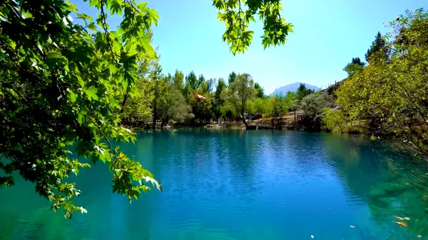 Yeşil yapraklarla çevrili mavi gölet ve dağ silueti, sakin bir doğa manzarası.