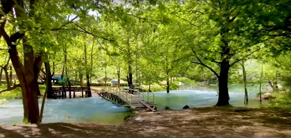 Yeşil ağaçlarla çevrili bir su kenarında köprü ve kayıklar