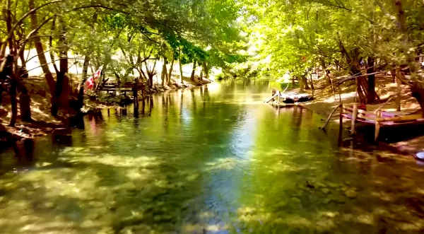 Sakin su yolu, yeşil ağaçlar ve iskelelerle çevrili huzurlu yaz manzarası.