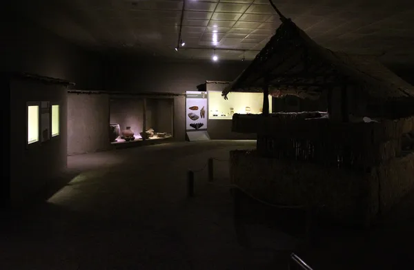 Karanlık müze içi, seramik vitrinler ve tarihi objelerle dolu bir atmosfer sunuyor.