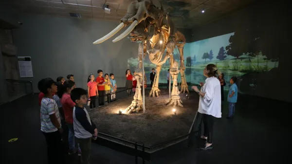 Müzede çocuklar, öğretmenleriyle mamut iskeletine dikkatle bakıyorlar.