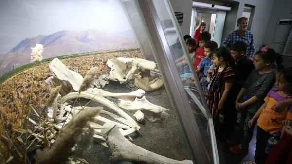 Çocuklar, müzede büyük hayvan iskeletlerini merakla inceliyor.