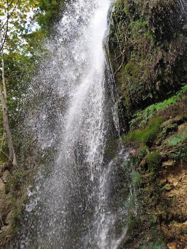 Yüksekten düşen şelale, yemyeşil bitki örtüsüyle çevrili huzur verici bir atmosfer sunuyor.