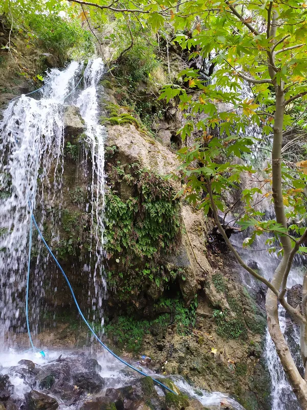 Yeşil yapraklarla çevrili, kayalık yüzeyden dökülen şelale ve beyaz köpükler.
