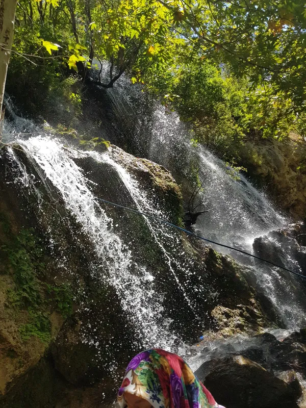 Ağaçlarla çevrili bir şelale, su damlacıkları ve huzurlu bir atmosfer.