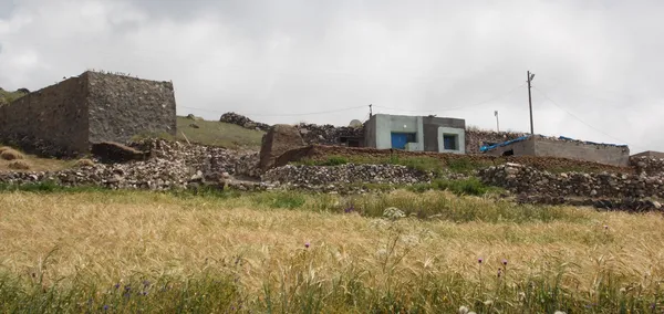 Yeşil ve sarı tahılların arasında sade taş yapılar ve taş duvarlar