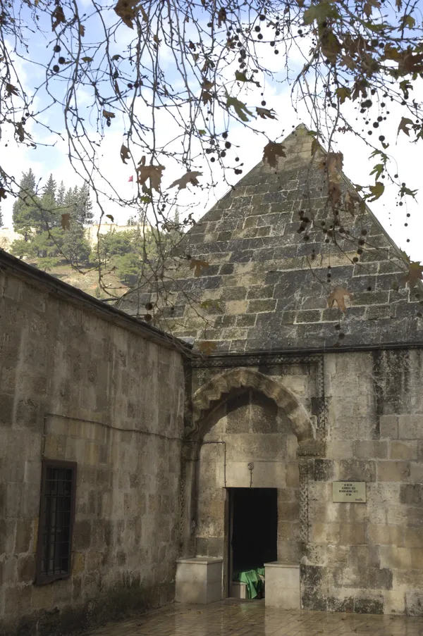 Tarihi taş medrese girişi, gotik kemer ve sarmaşıklarla çevrili.