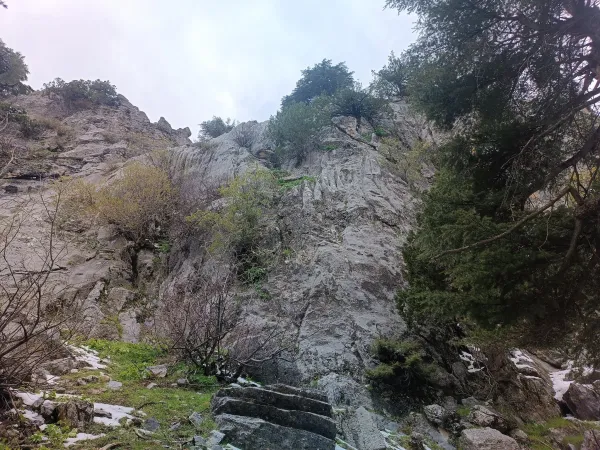 Kahramanmaraş Tekir Vadisi: Kahramanmaraş'ın Gizli Cenneti Yaban Hayatı ve Ekosistem Keşfi