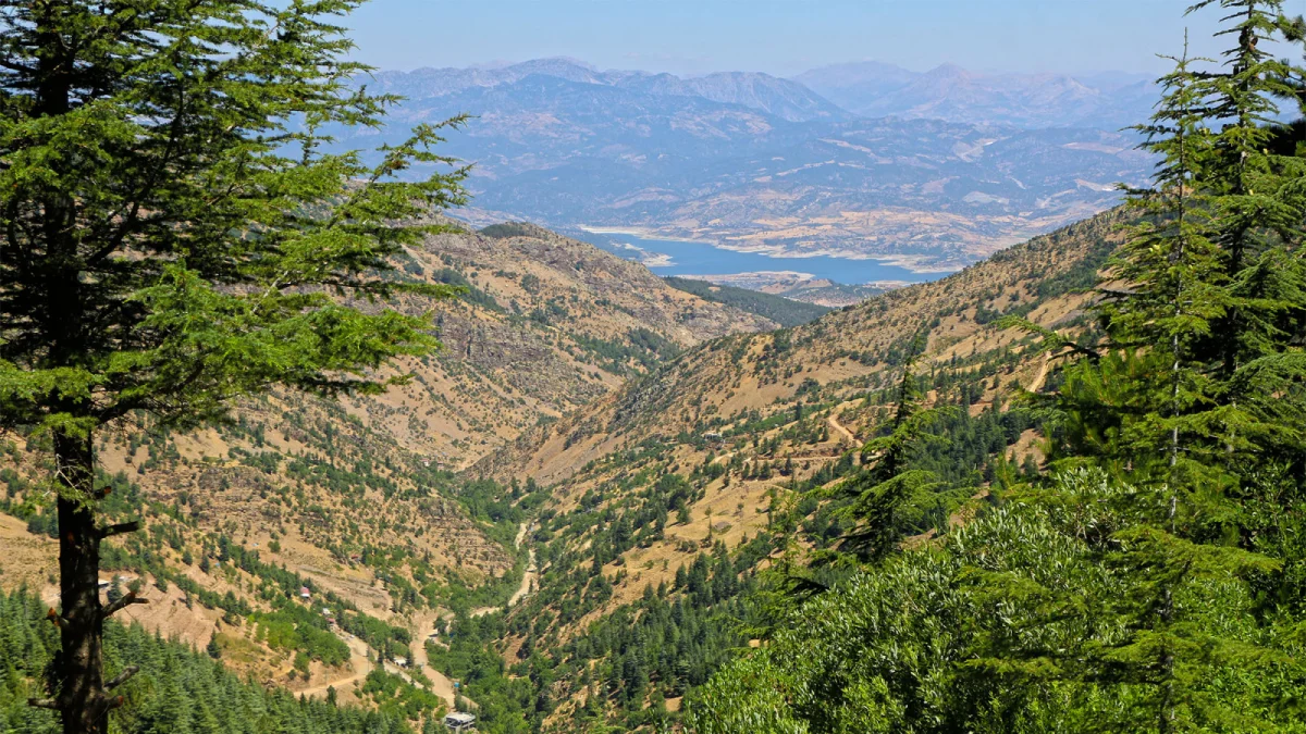 Kahramanmaraş Yavşan Yaylası: Kahramanmaraş'ın Gizli Cenneti Keşif Rehberi