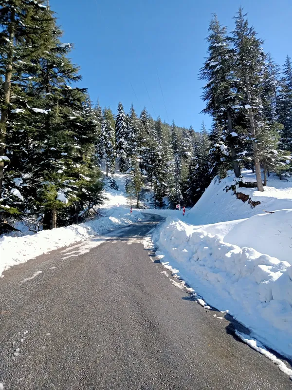 Karlı dağ yolu, yeşil ağaçlar ve mavi gökyüzüyle huzurlu bir kış manzarası.