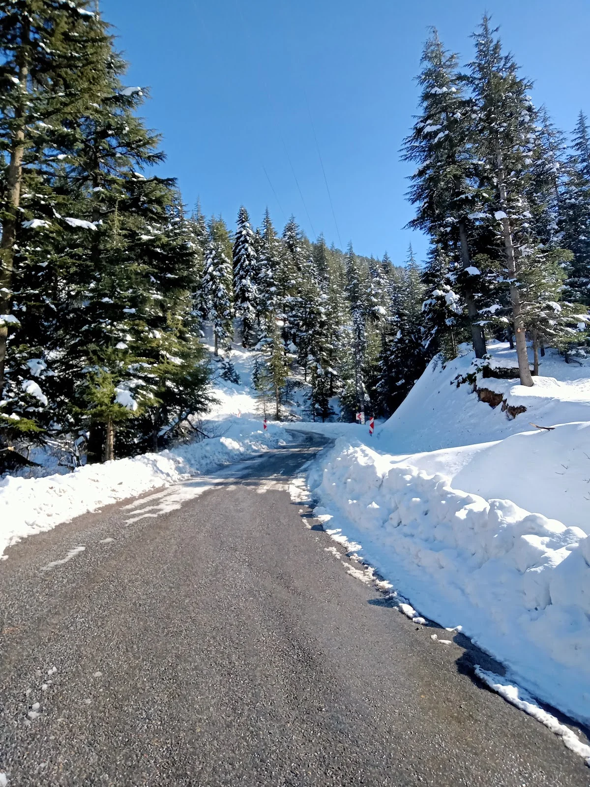 Yavşan Yaylası'nda Kış Güzellikleri - Karlı Yollar ve Sedirlerin Dansı! Karlı dağ yolu, yeşil ağaçlar ve mavi gökyüzüyle huzurlu bir kış manzarası.